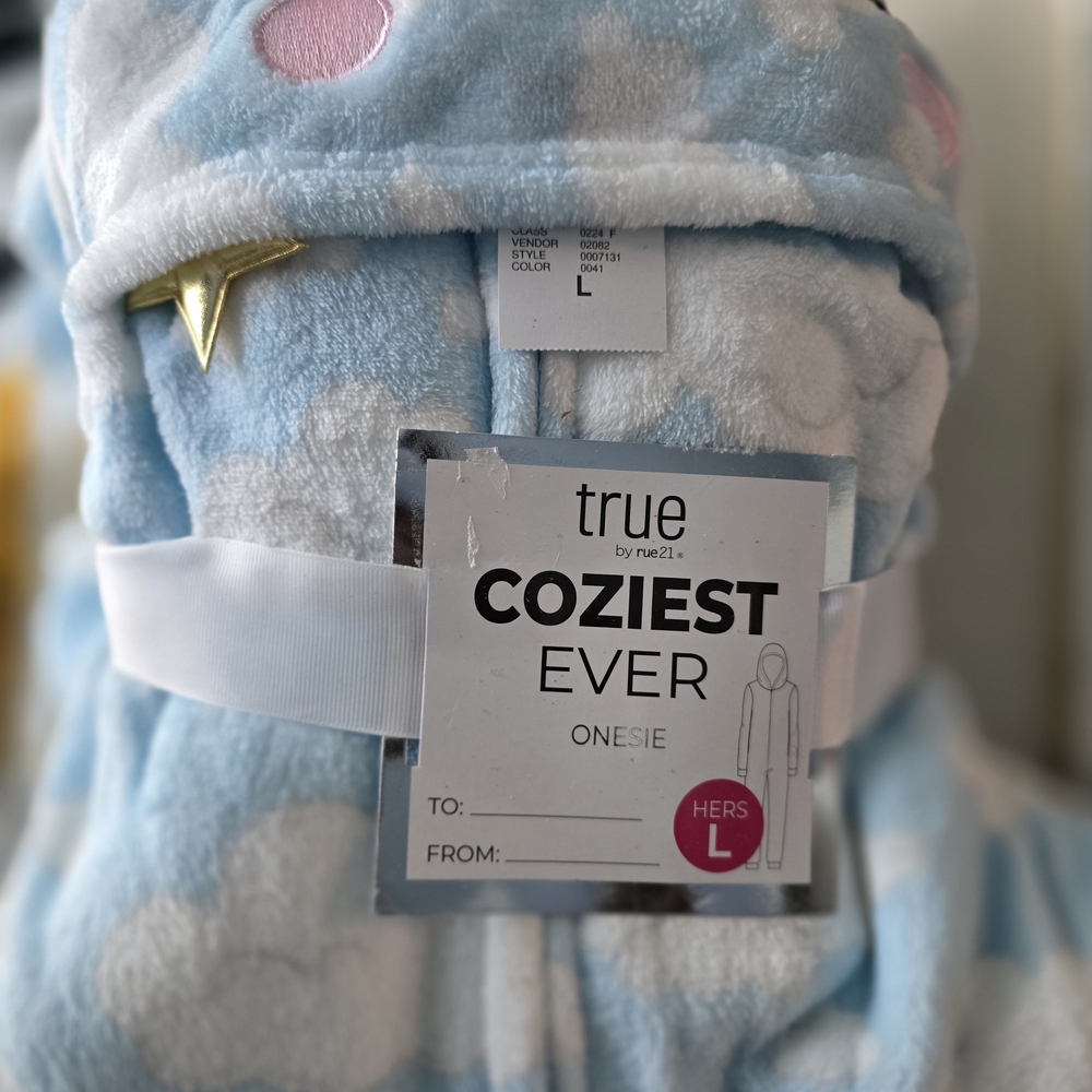 Rue21 Cozy Blue and Pink Kids Pajama Set